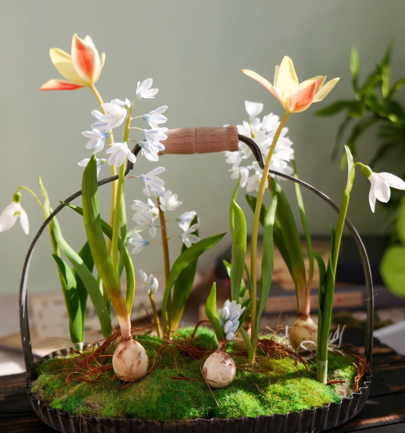 🌱 Blue-Striped Squill: Your Little Messenger of Hope & New Beginnings