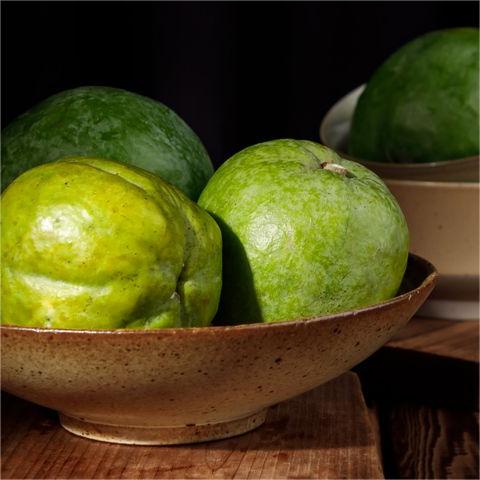 Robuste Sorten von Weißen Sapote Samen