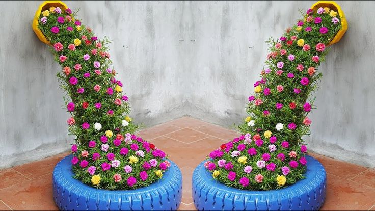 Mixed-color Moss Rose-flower Seeds