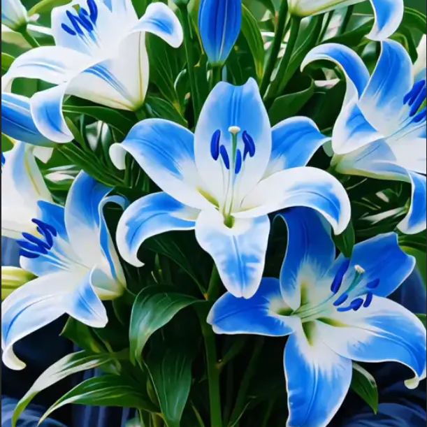 New Polaris Perfume Lily Bulbs—Fresh and Sweet