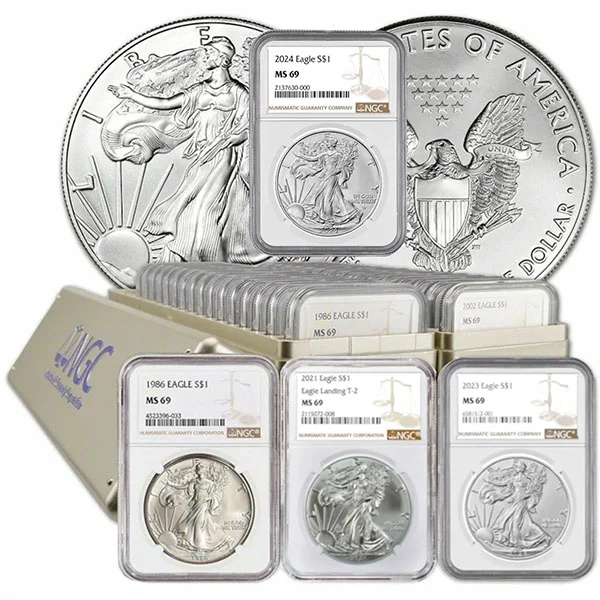 2026 🏆Flash Sale 50% OFF - United States Silver Eagle Commemorative Coin - Silver Proof Coin