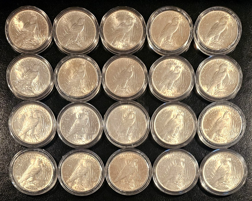 🕊️U.S. Mint Peace Silver Dollar Bag (Dates 1921-1935) Mixed Lot