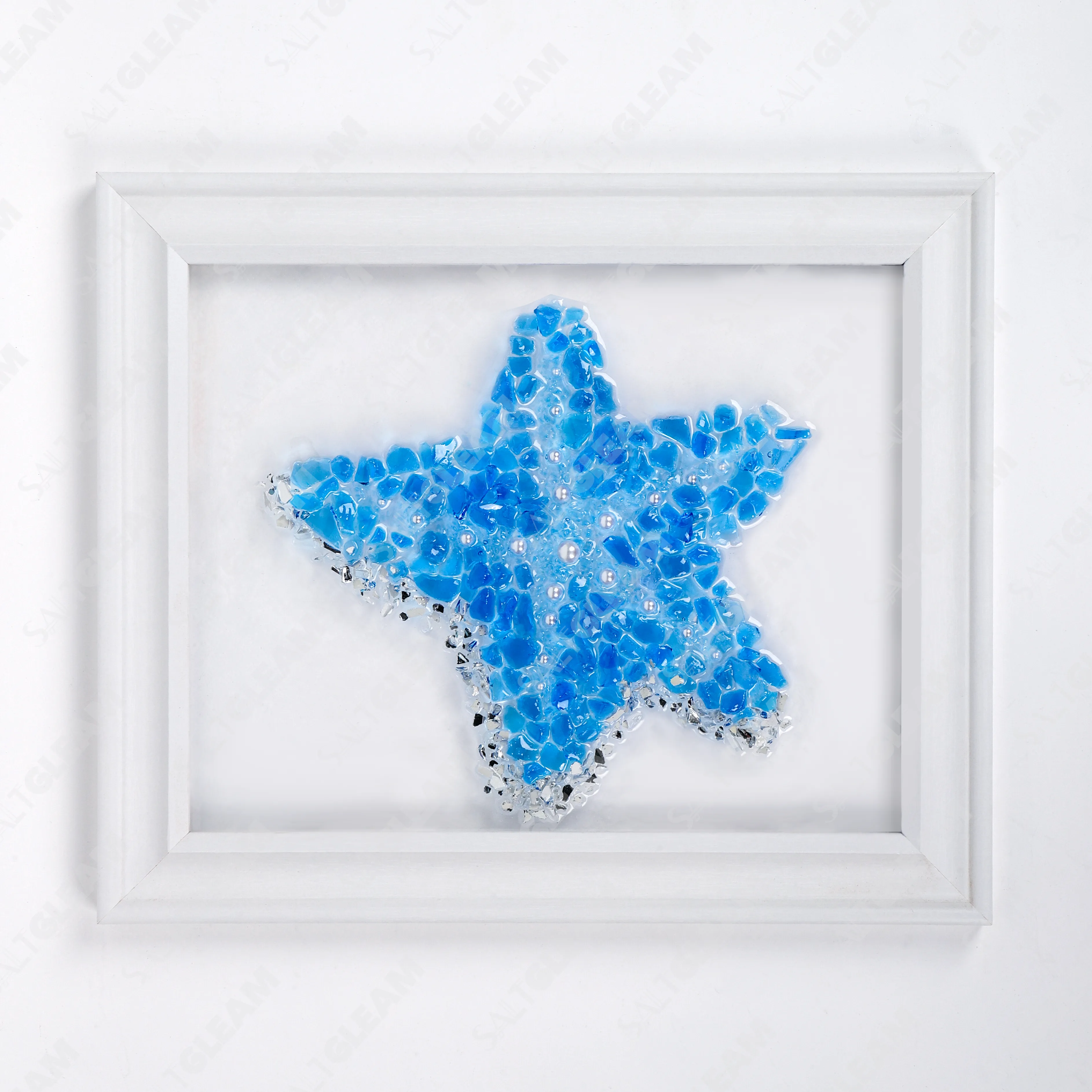 Starfish Sea Glass Art Kit