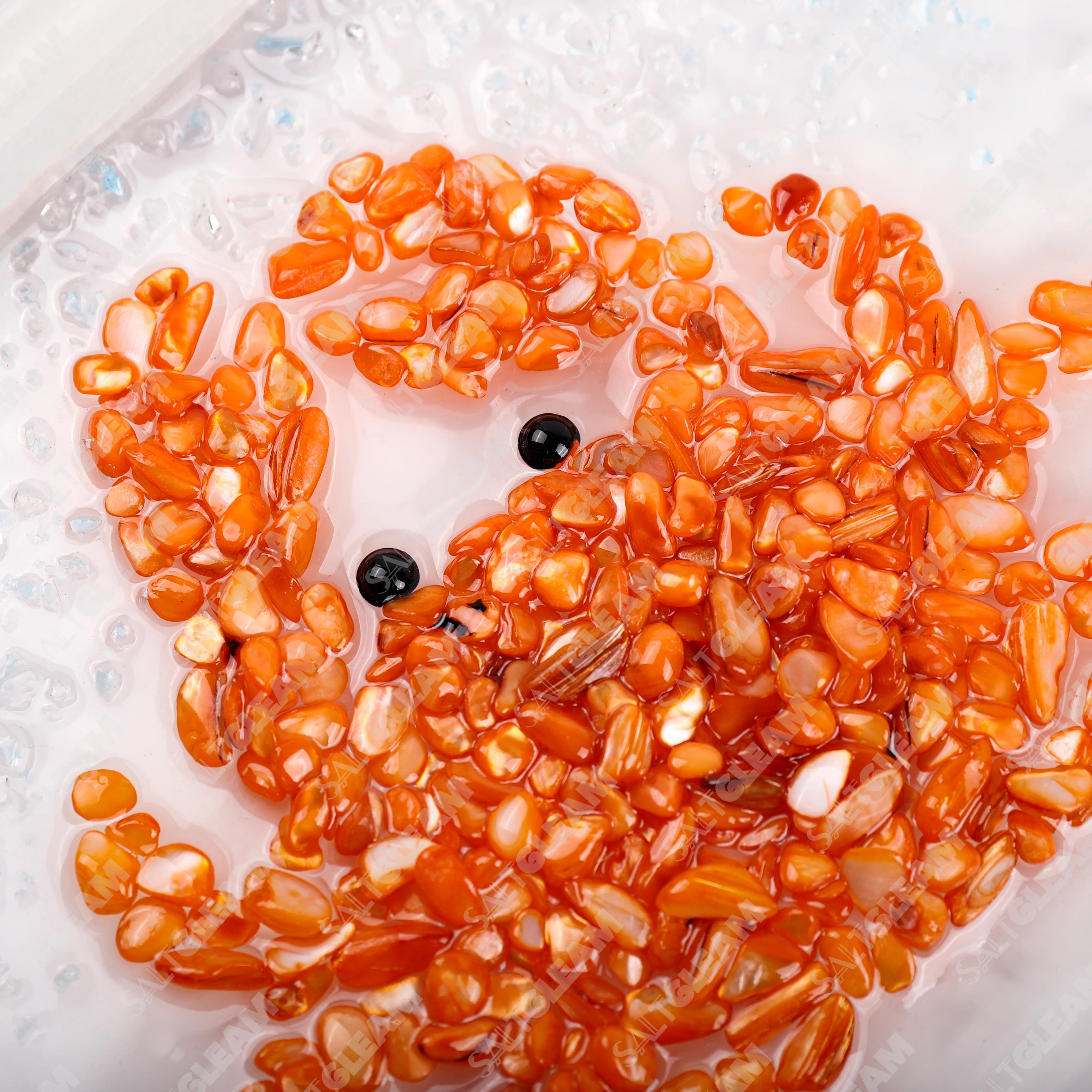 Crab Sea Glass Art Kit