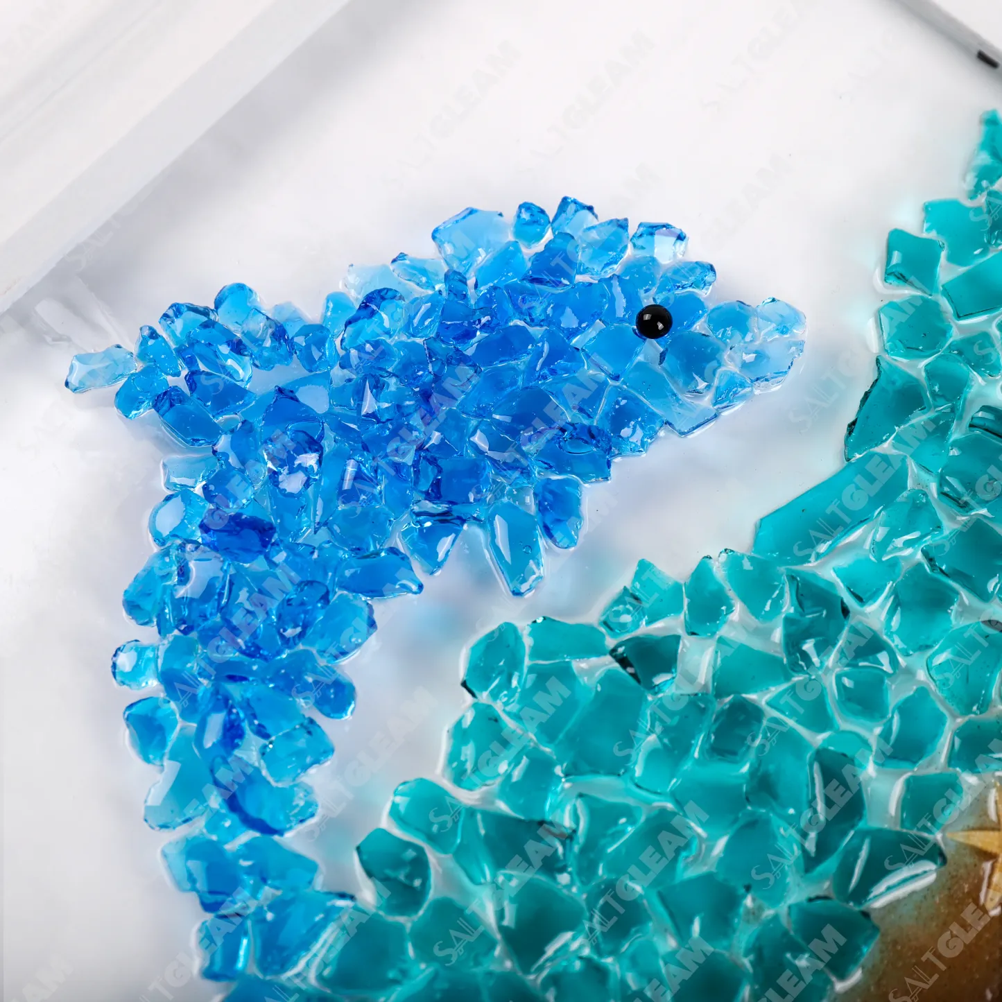 Dolphin Sea Glass Art Kit