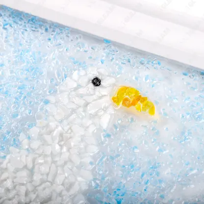 White Dove Sea Glass Art Kit