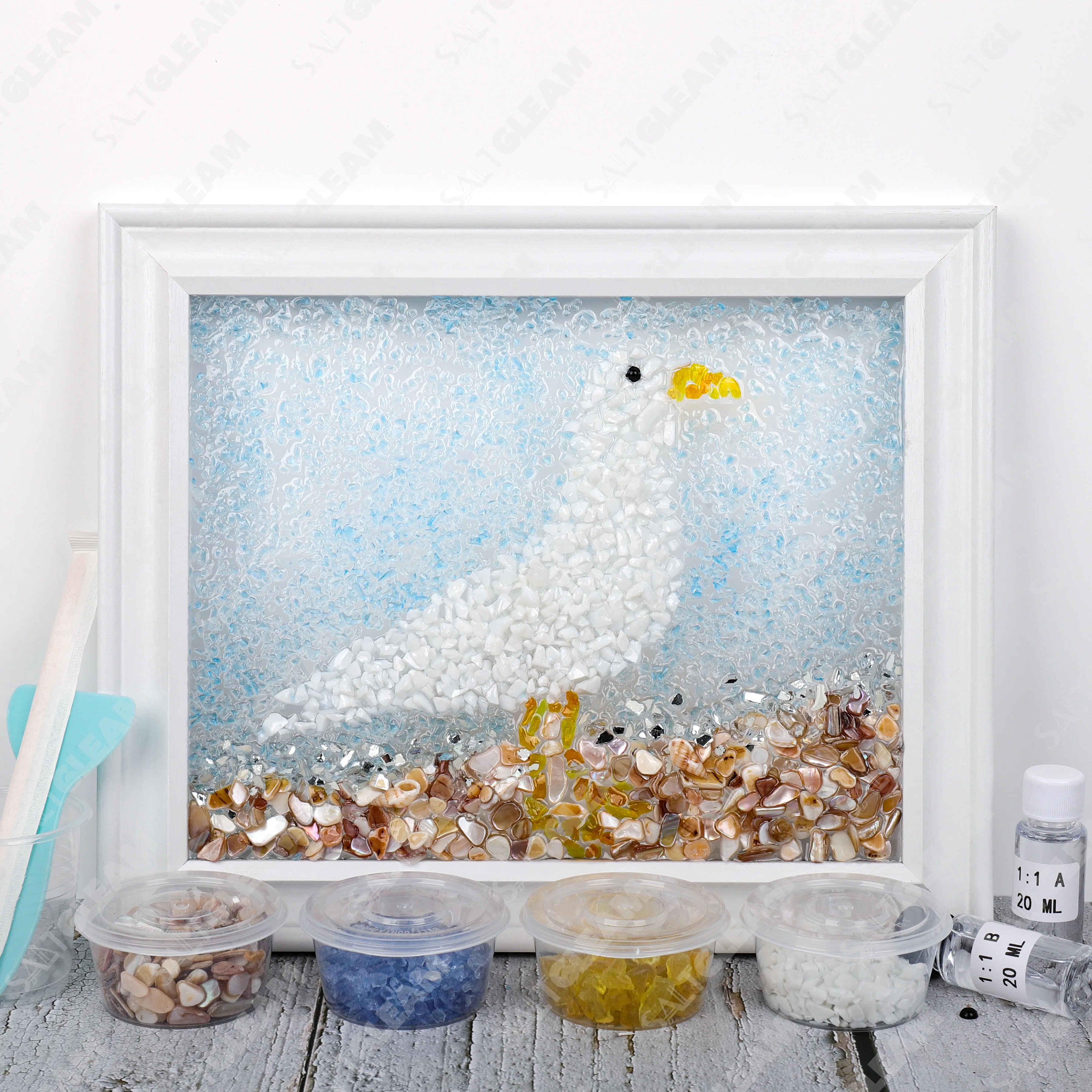 White Dove Sea Glass Art Kit