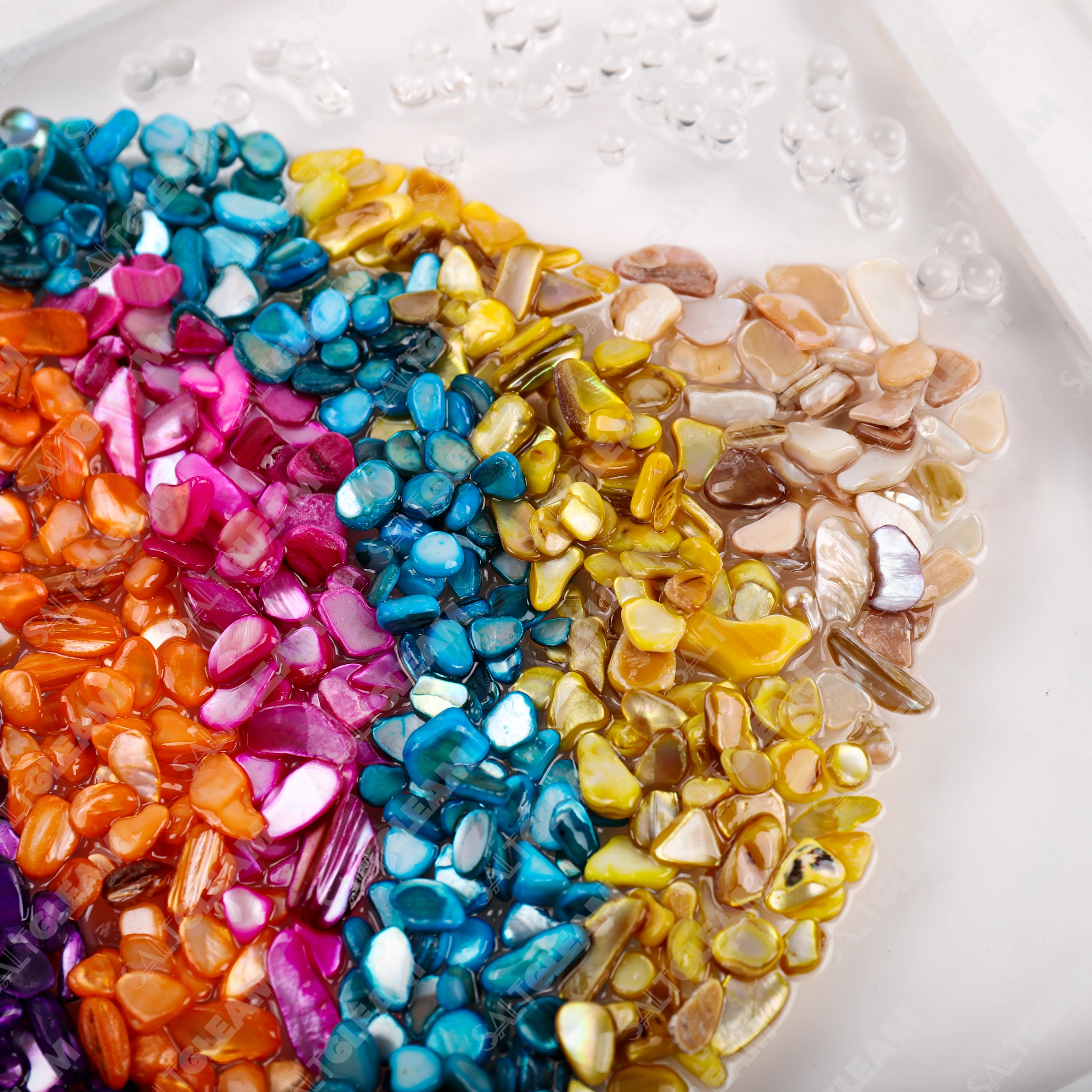 Rainbow Fish Sea Glass Art Kit