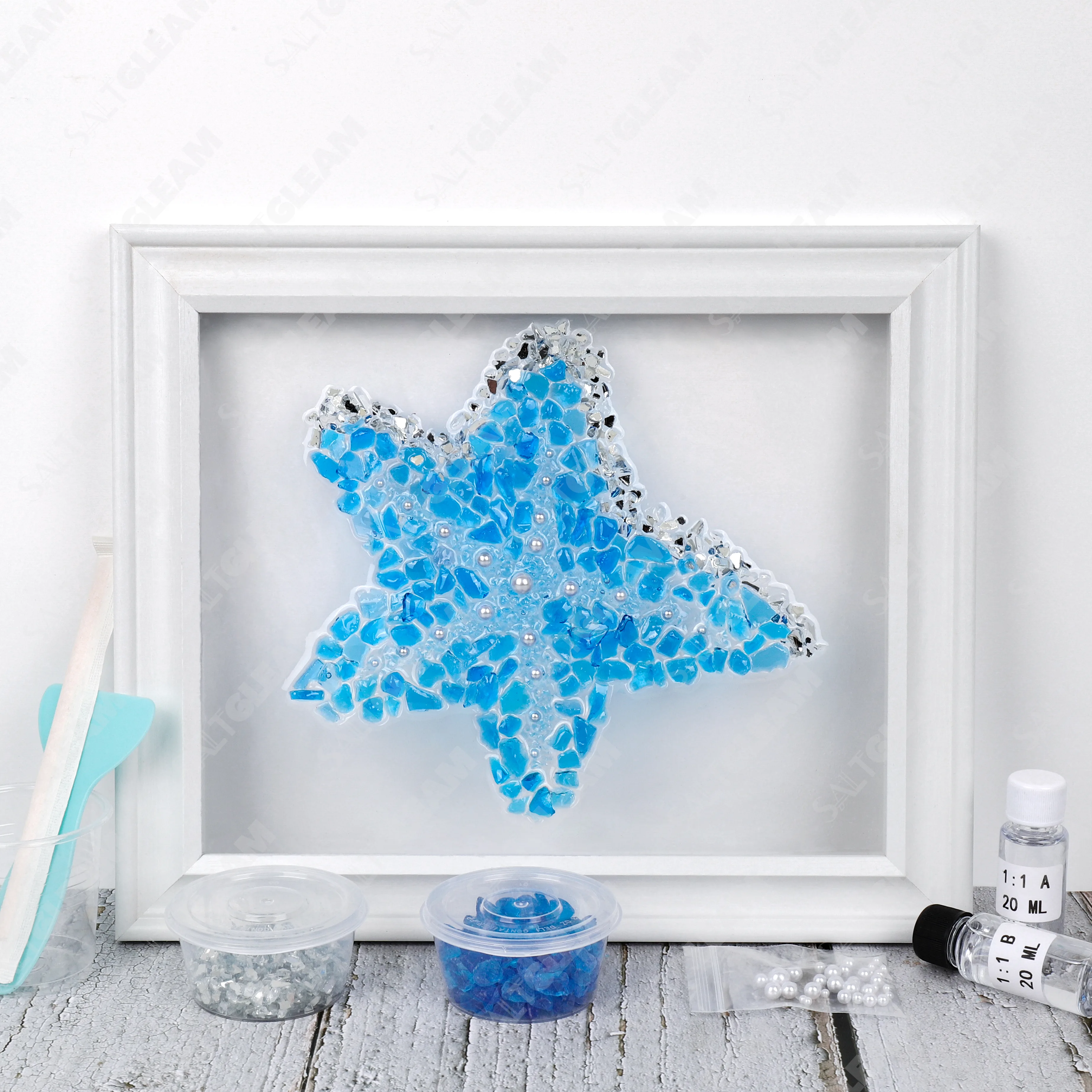 Starfish Sea Glass Art Kit