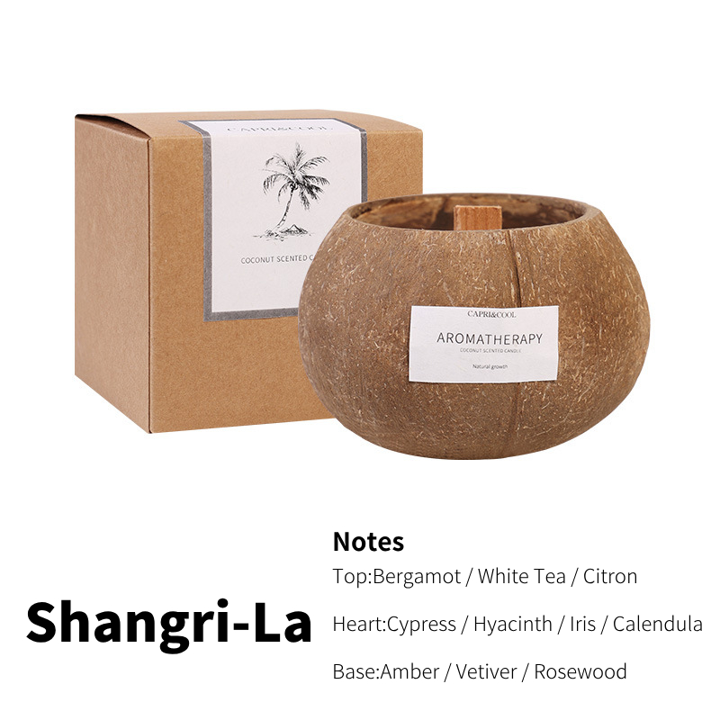 Artisanal Coconut Shell Aromatherapy Candle – Premium Eco-Friendly Scented Candle for Cozy Bedroom, Unique Gifts & Luxurious Ambiance