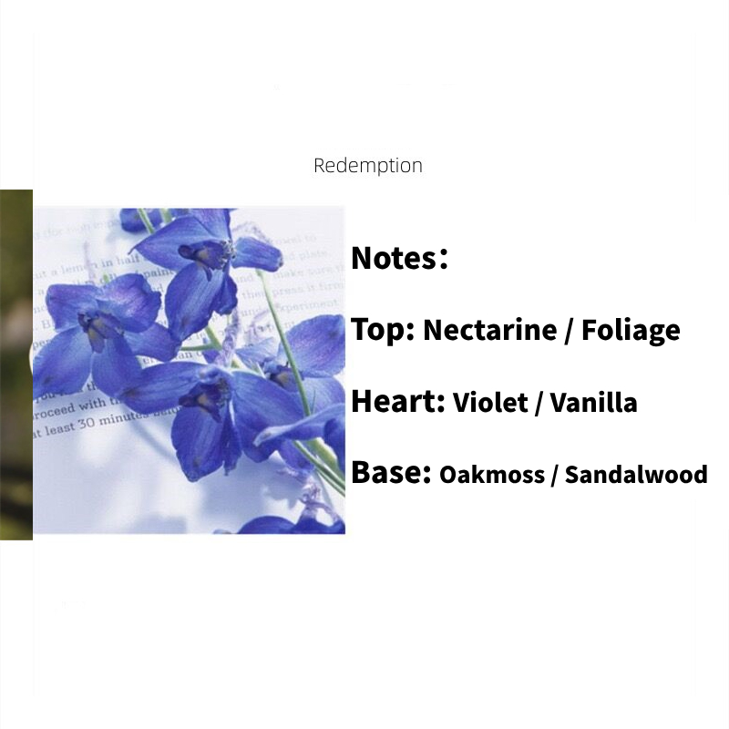 Creative Eggshell-Shaped Aromatherapy Candles – Elegant Home Fragrance Decor, Perfect Gift for Birthday, Wedding & Souvenirs