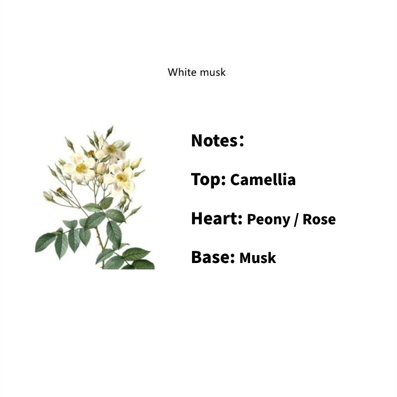 Creative Eggshell-Shaped Aromatherapy Candles – Elegant Home Fragrance Decor, Perfect Gift for Birthday, Wedding & Souvenirs