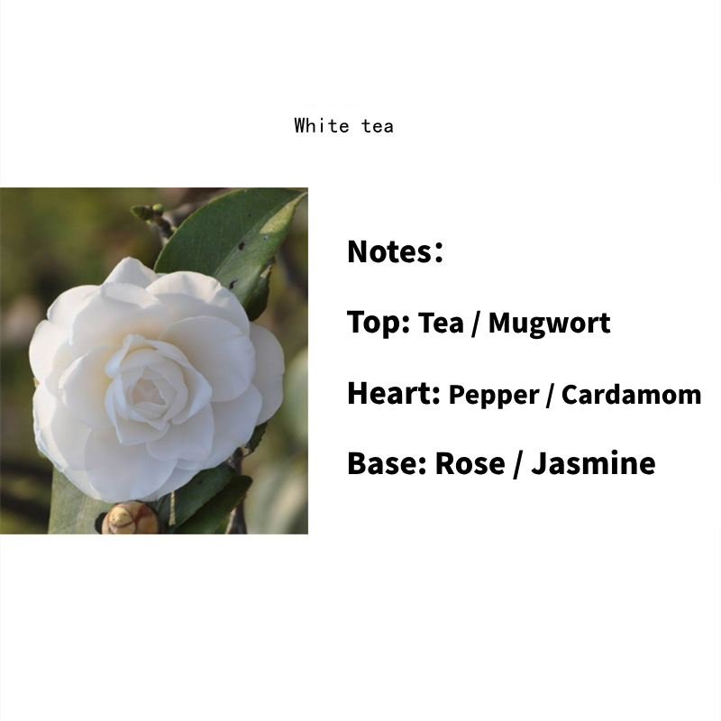 Creative Eggshell-Shaped Aromatherapy Candles – Elegant Home Fragrance Decor, Perfect Gift for Birthday, Wedding & Souvenirs