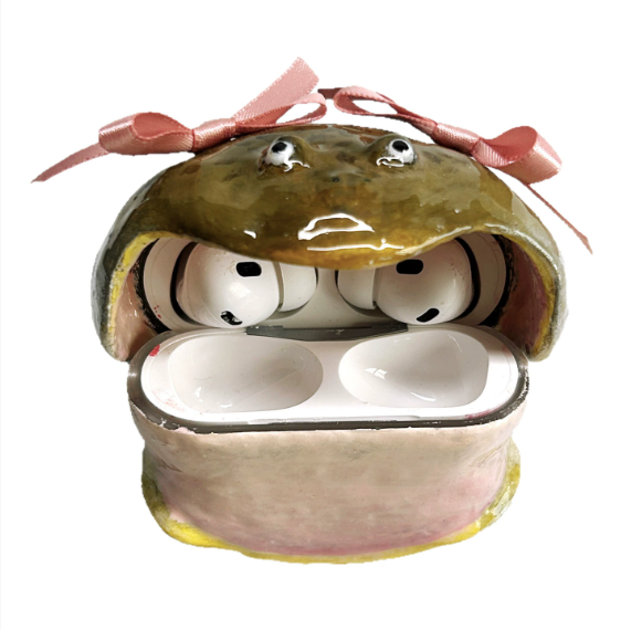 🐸Ugly Frog Apple Earphone Case