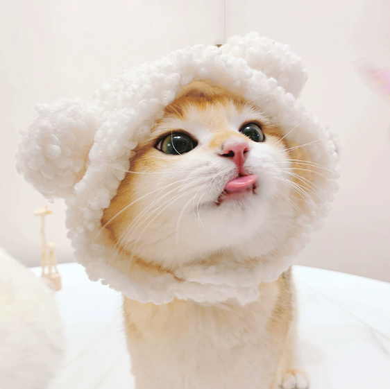 🐱Pet cat headgear