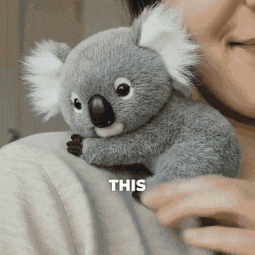 🌟 THE KOALY – Emotional Healing on Demand 🌈