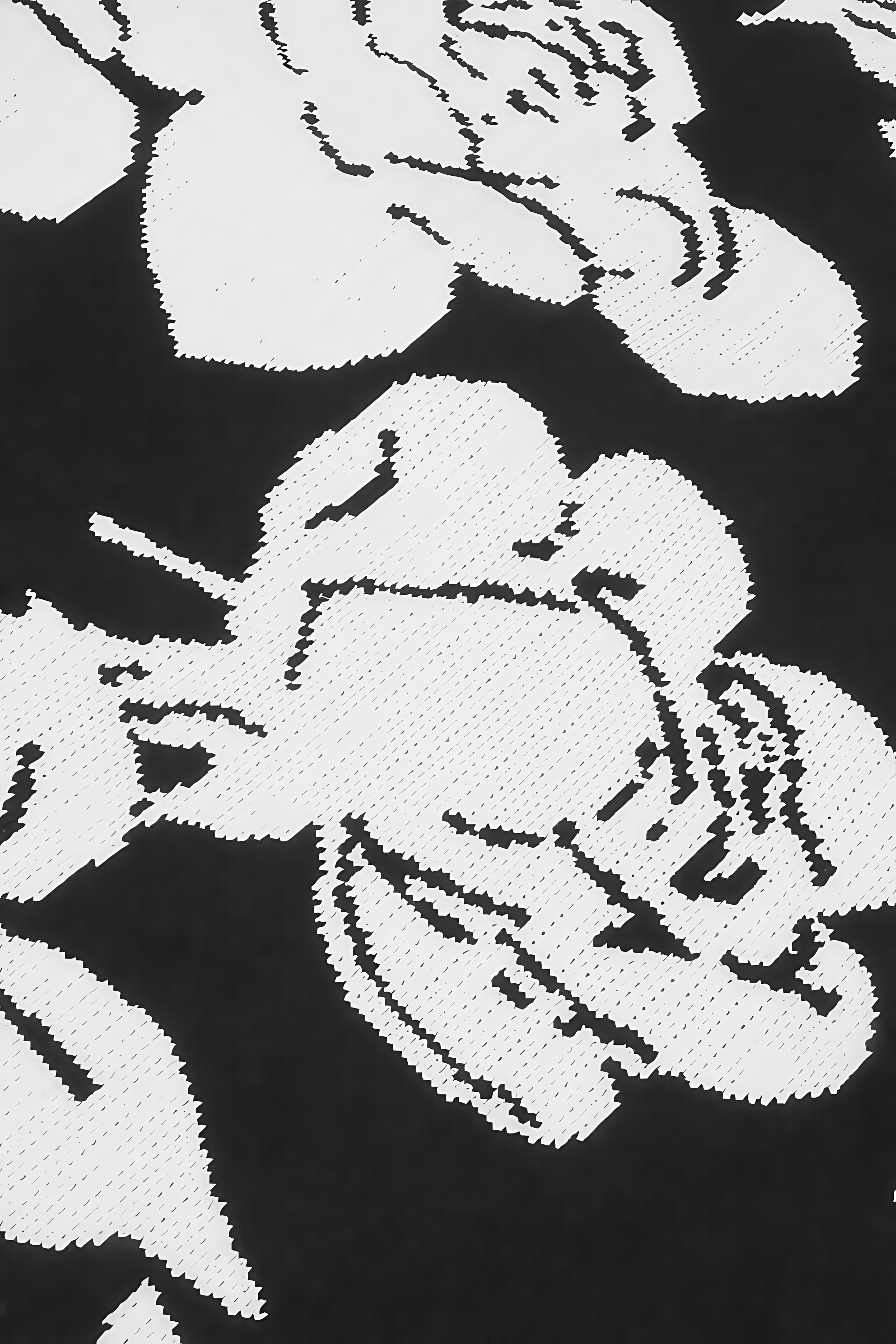 Elian Black and White Floral Midi Dress Set