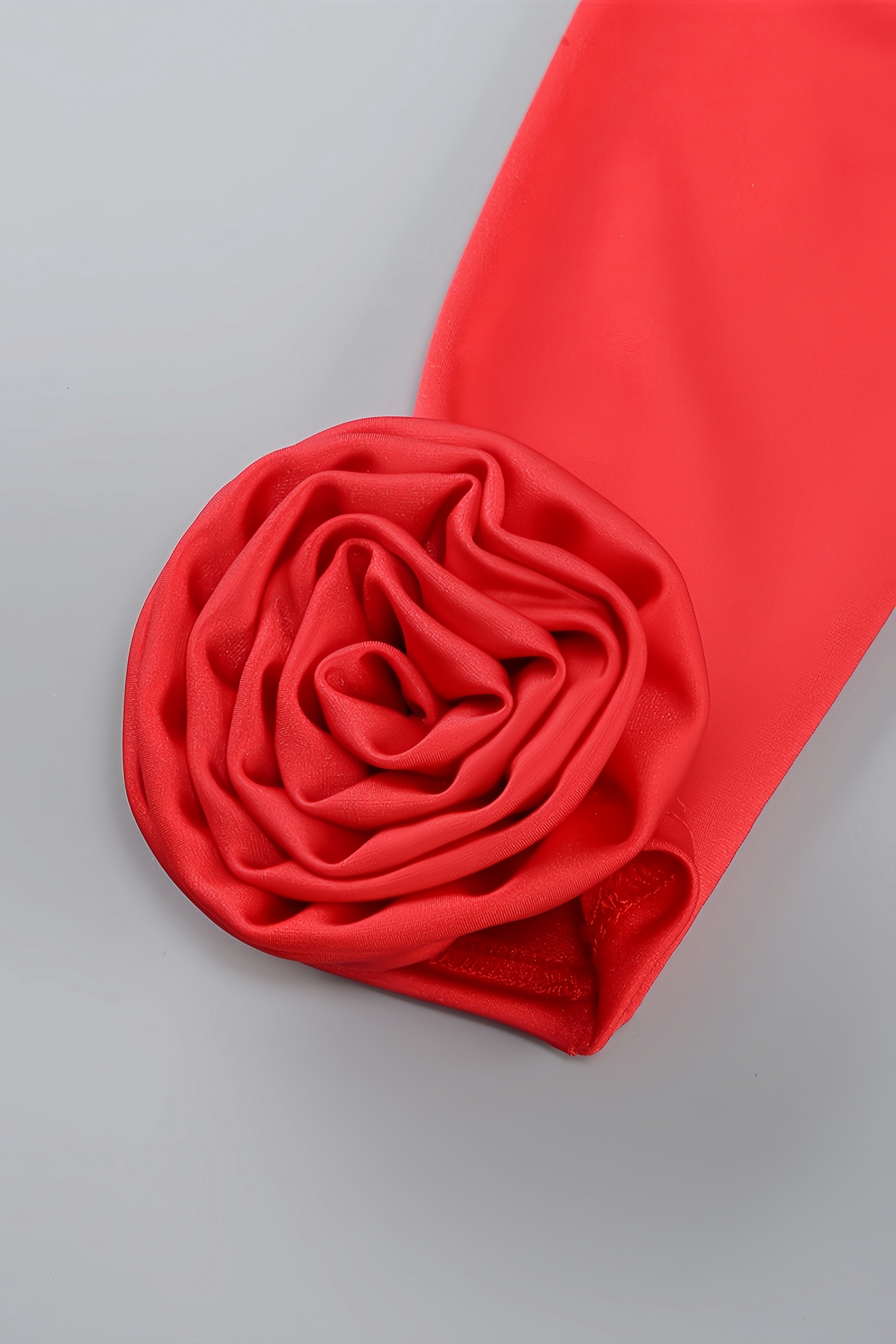 Isla 3D Floral Pleated Maxi Dress