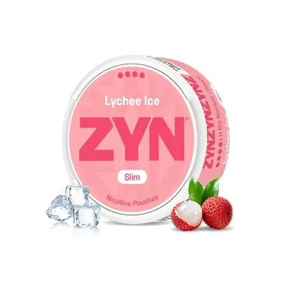 European ZYN Pouches with 10 Flavors - New 2025 Edition