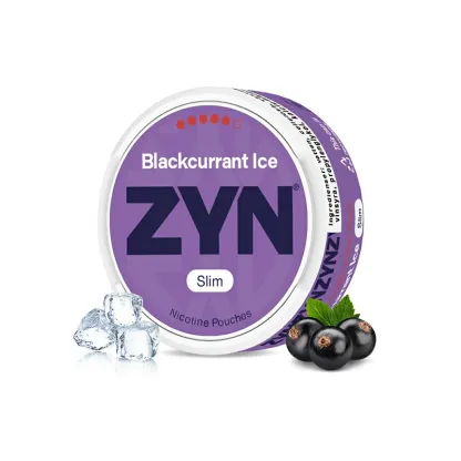European ZYN Pouches with 10 Flavors - New 2025 Edition