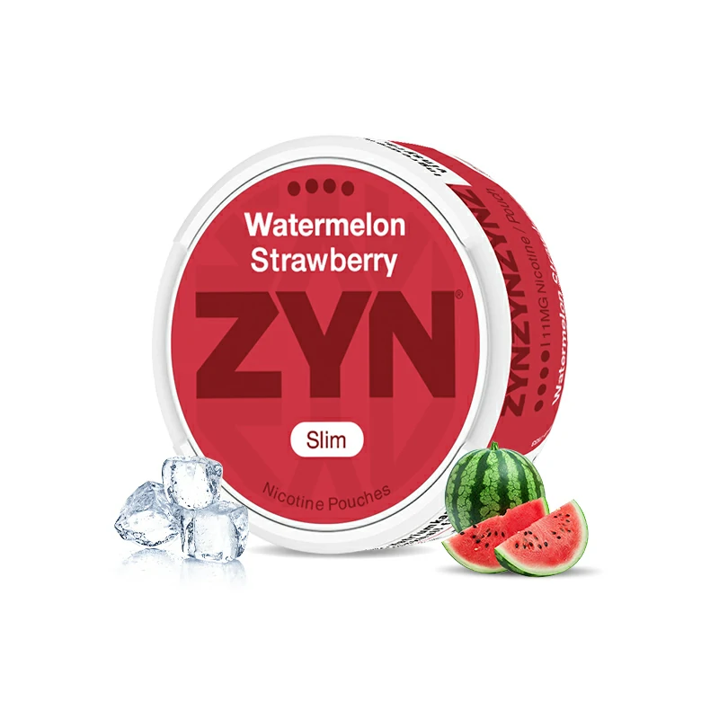 European ZYN Pouches with 10 Flavors - New 2025 Edition