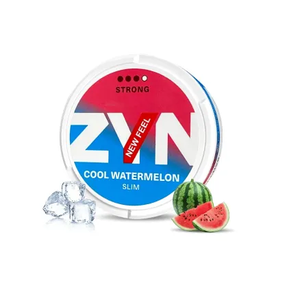 Popular Non Tobacco European Swedish ZYN Chew Pouches