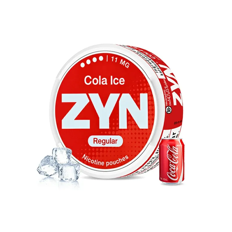 European ZYN Pouches with 10 Flavors - New 2025 Edition