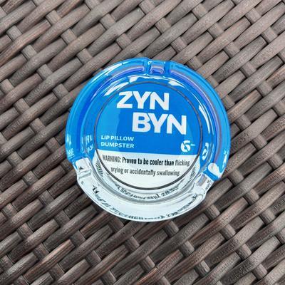 The ZynByn: Official Lip Pillow Dumpster - The Perfect Gift for Him or