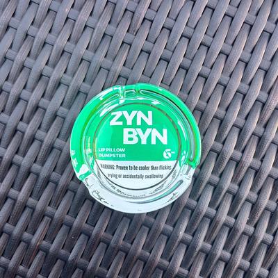 The ZynByn: Official Lip Pillow Dumpster - The Perfect Gift for Him or Her to Cleanup in Style!