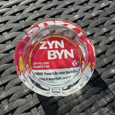 The ZynByn: Official Lip Pillow Dumpster - The Perfect Gift for Him or Her to Cleanup in Style!