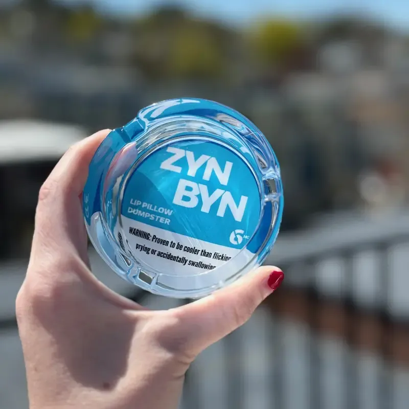 The ZynByn: Official Lip Pillow Dumpster - The Perfect Gift for Him or Her to Cleanup in Style!