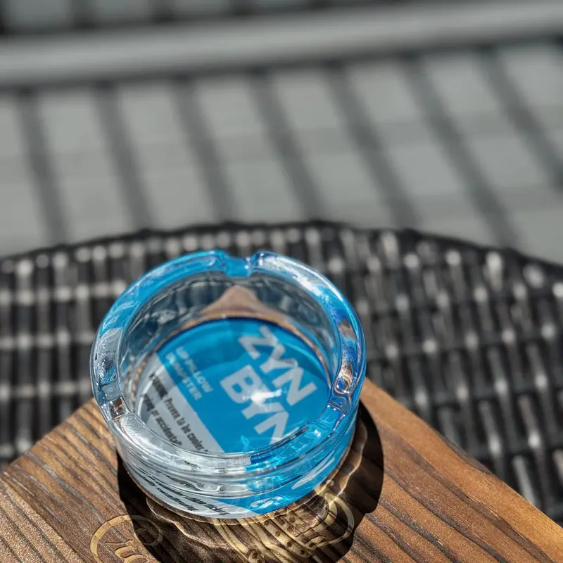 The ZynByn: Official Lip Pillow Dumpster - The Perfect Gift for Him or Her to Cleanup in Style!