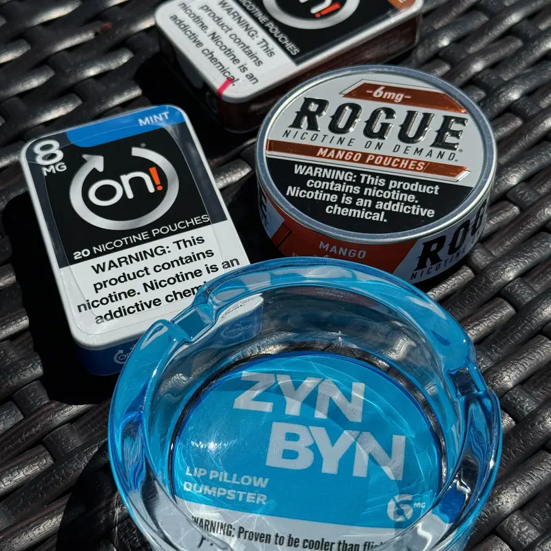 The ZynByn: Official Lip Pillow Dumpster - The Perfect Gift for Him or Her to Cleanup in Style!