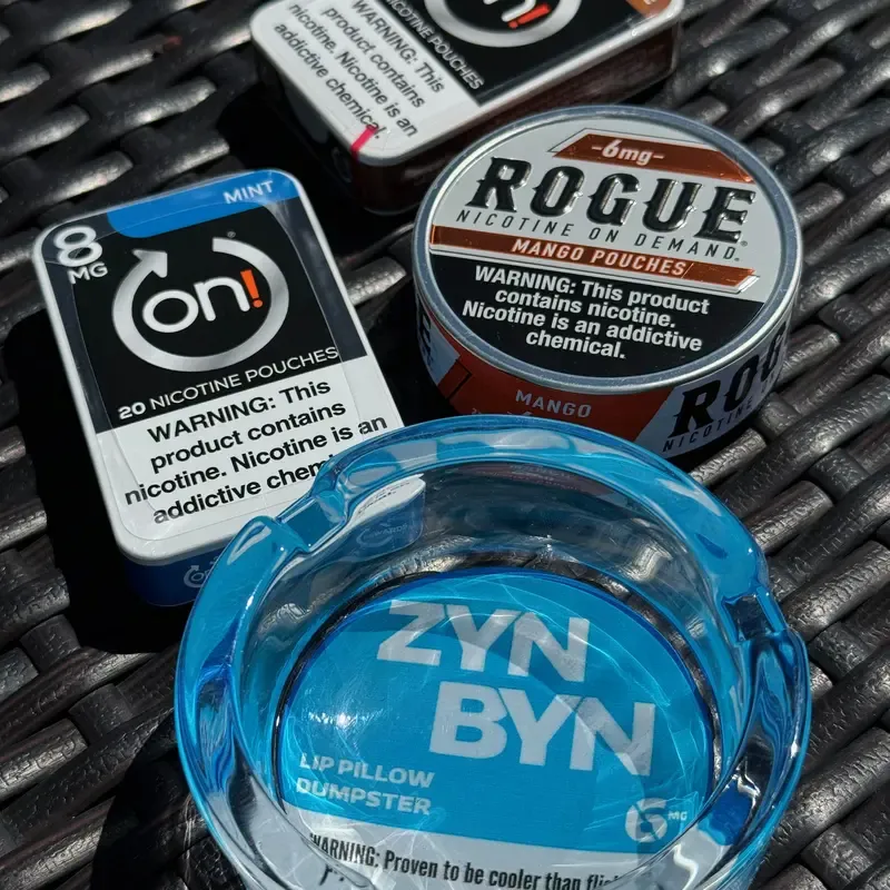 The ZynByn: Official Lip Pillow Dumpster - The Perfect Gift for Him or Her to Cleanup in Style!