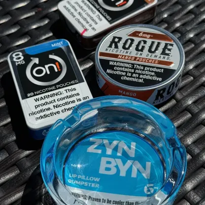 The ZynByn: Official Lip Pillow Dumpster - The Perfect Gift for Him or Her to Cleanup in Style!