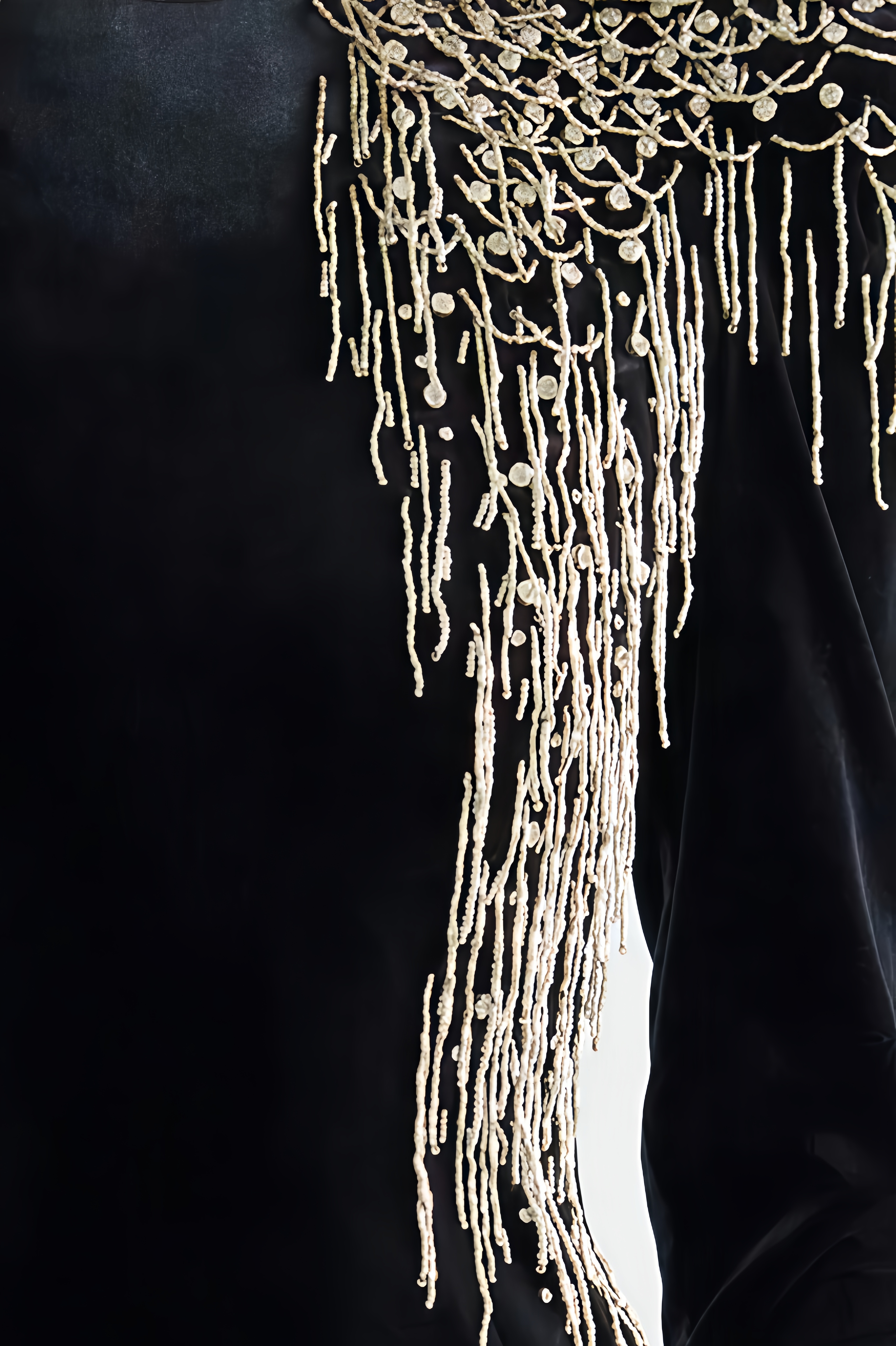 Hiram Embroidered Velvet Maxi Dress