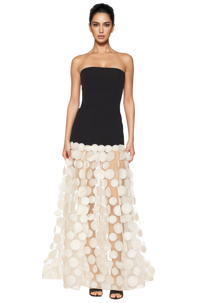 Eryxar Beige Polka Dot Mesh Maxi Dress