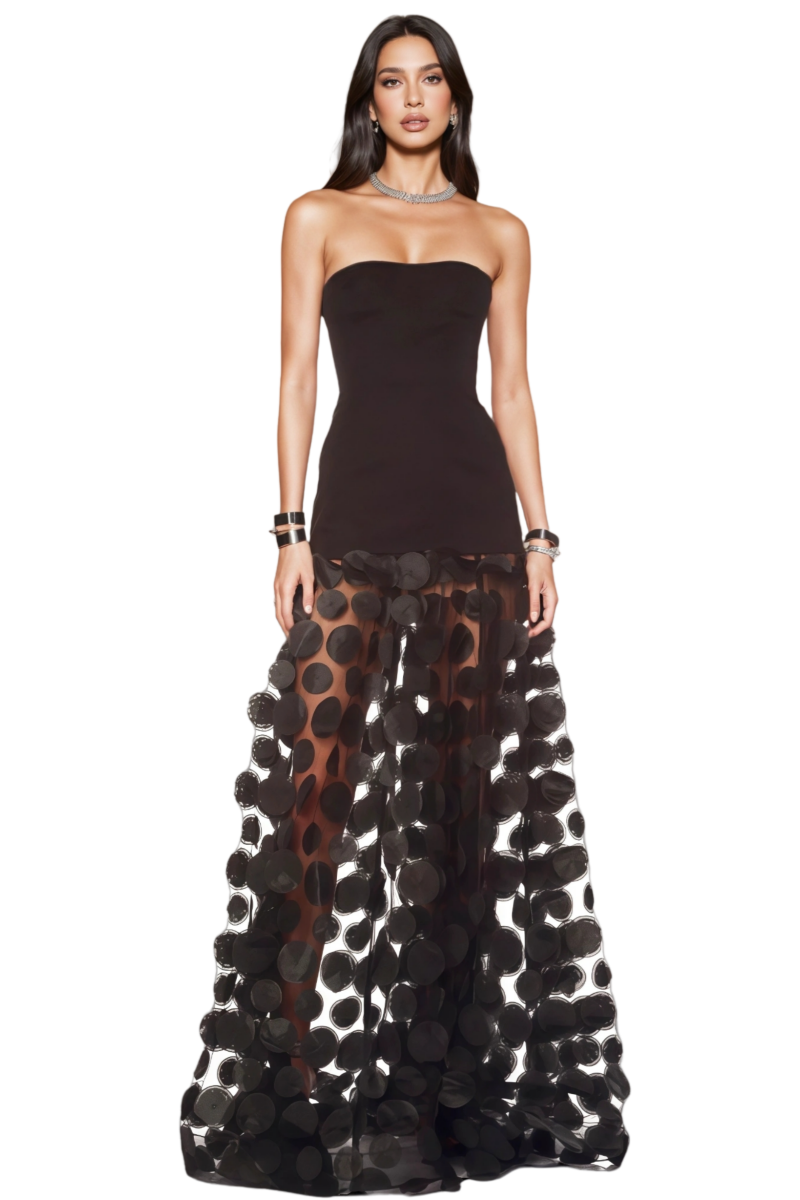 Elthion Black Polka Dot Mesh Maxi Dress