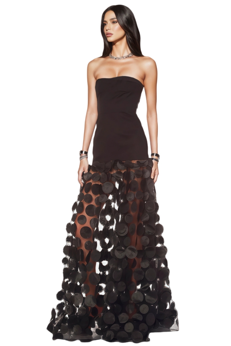 Elthion Black Polka Dot Mesh Maxi Dress