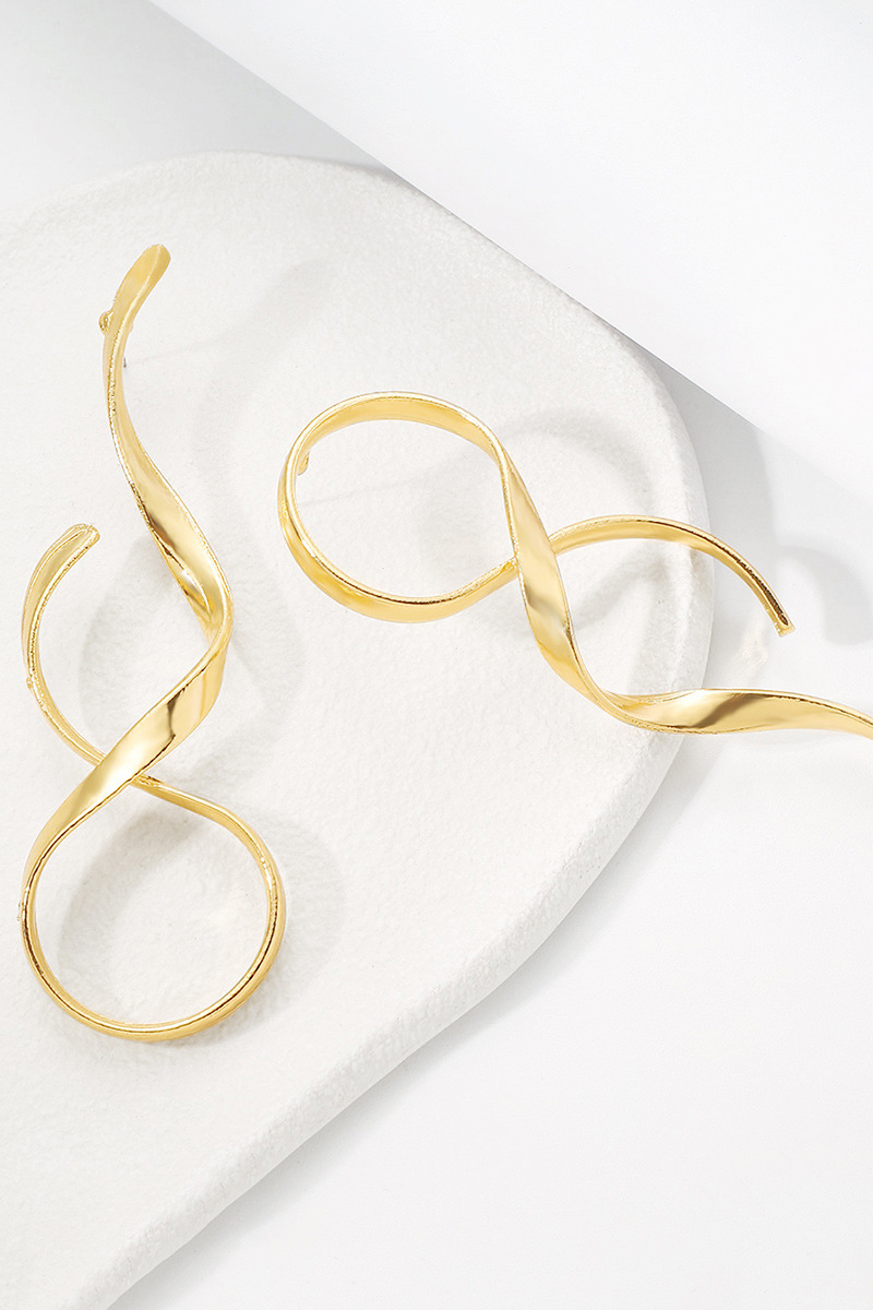 Fina Geometric Surround Earrings