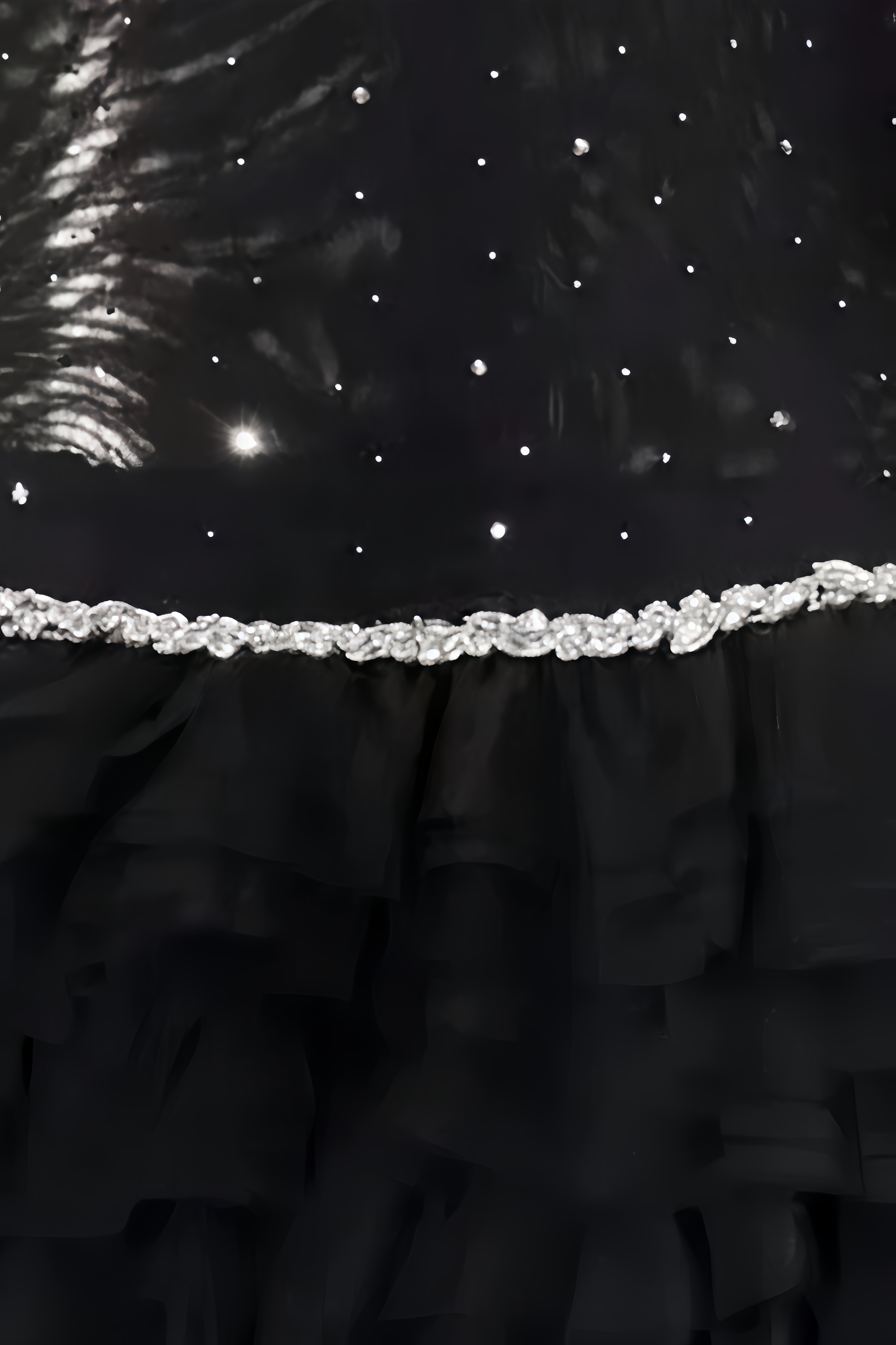 Roselia Black Lace Mini Dress