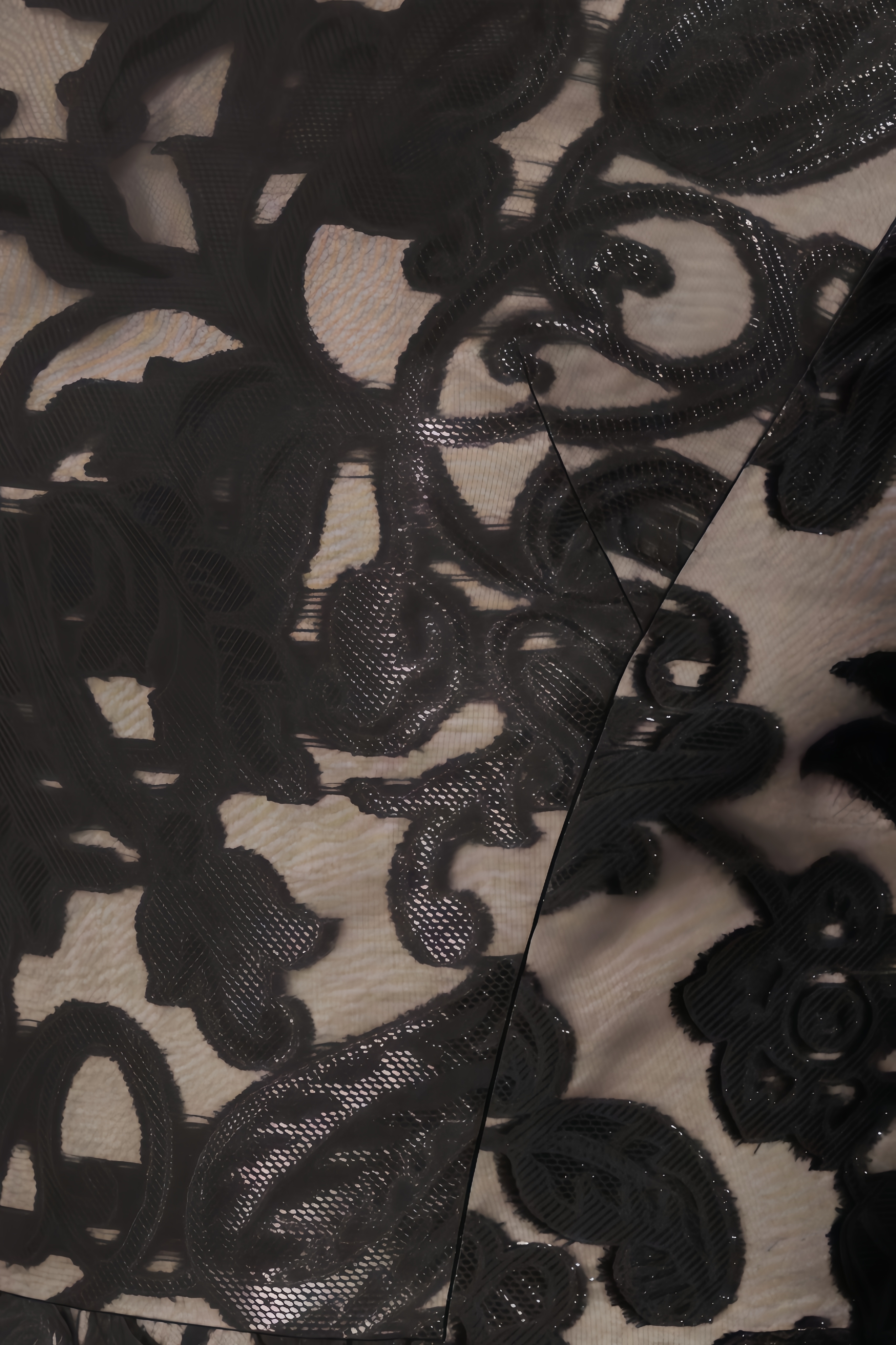 Embroidered Mesh Maxi Dress