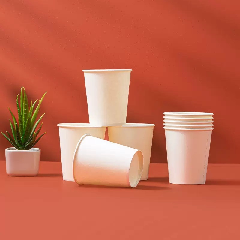 Nomal white paper cup 普通白杯