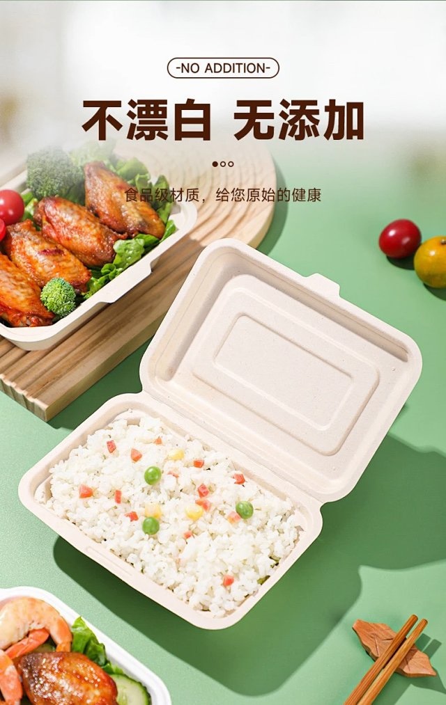 450ml Bagasse Food Box