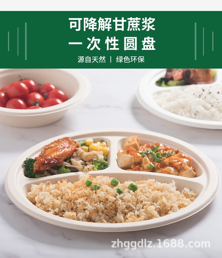 Sugarcane Bagasse Plate