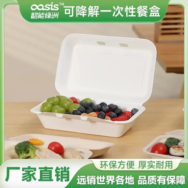 700ml Bagasse Food Box