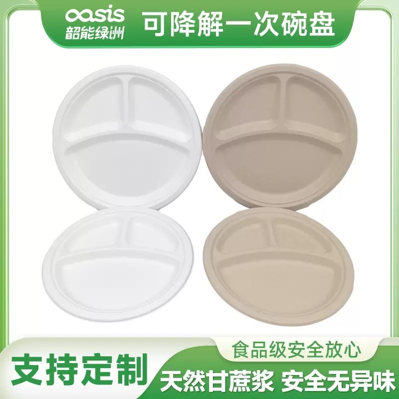 Sugarcane Bagasse Plate