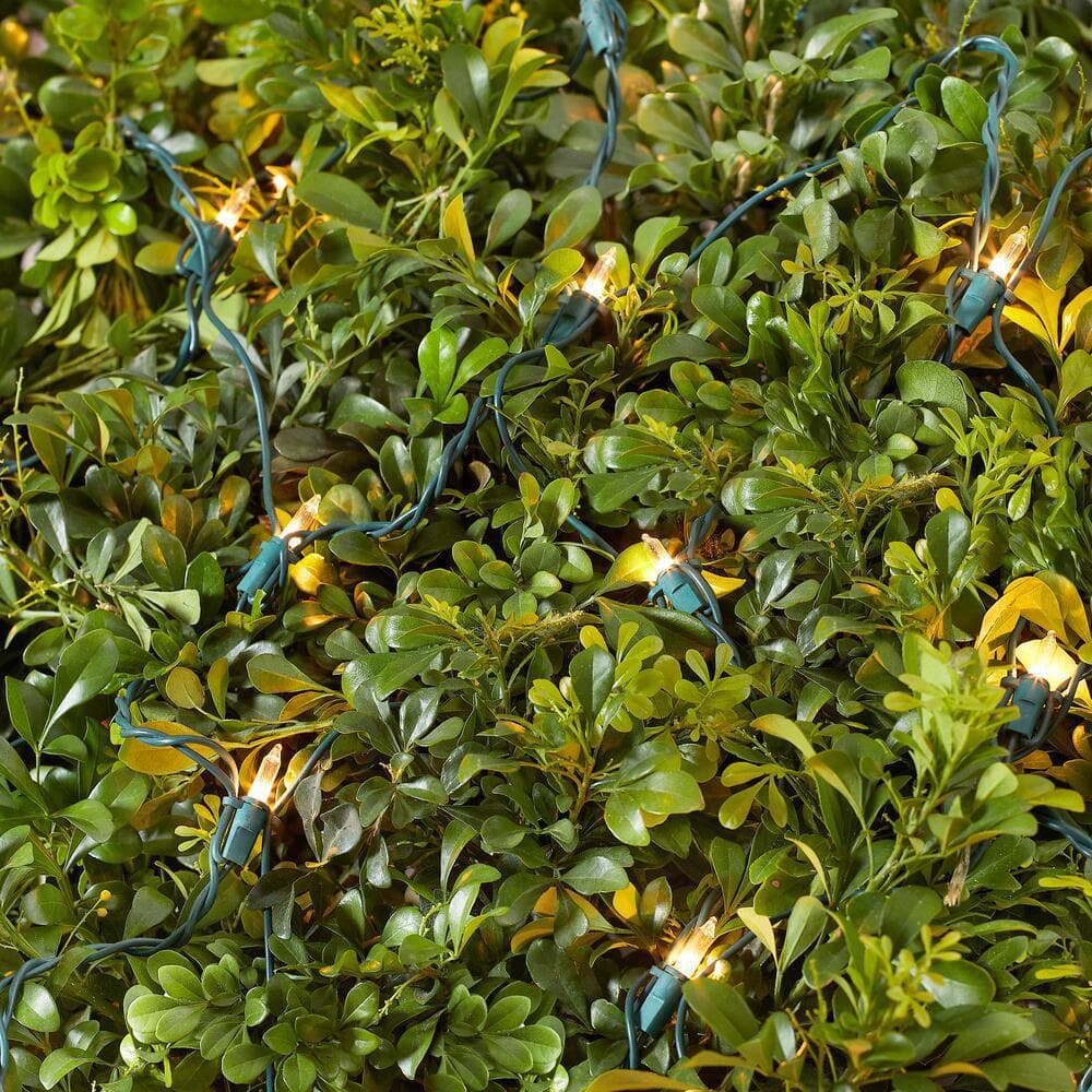 150 Clear Incandescent Mini Net Lights