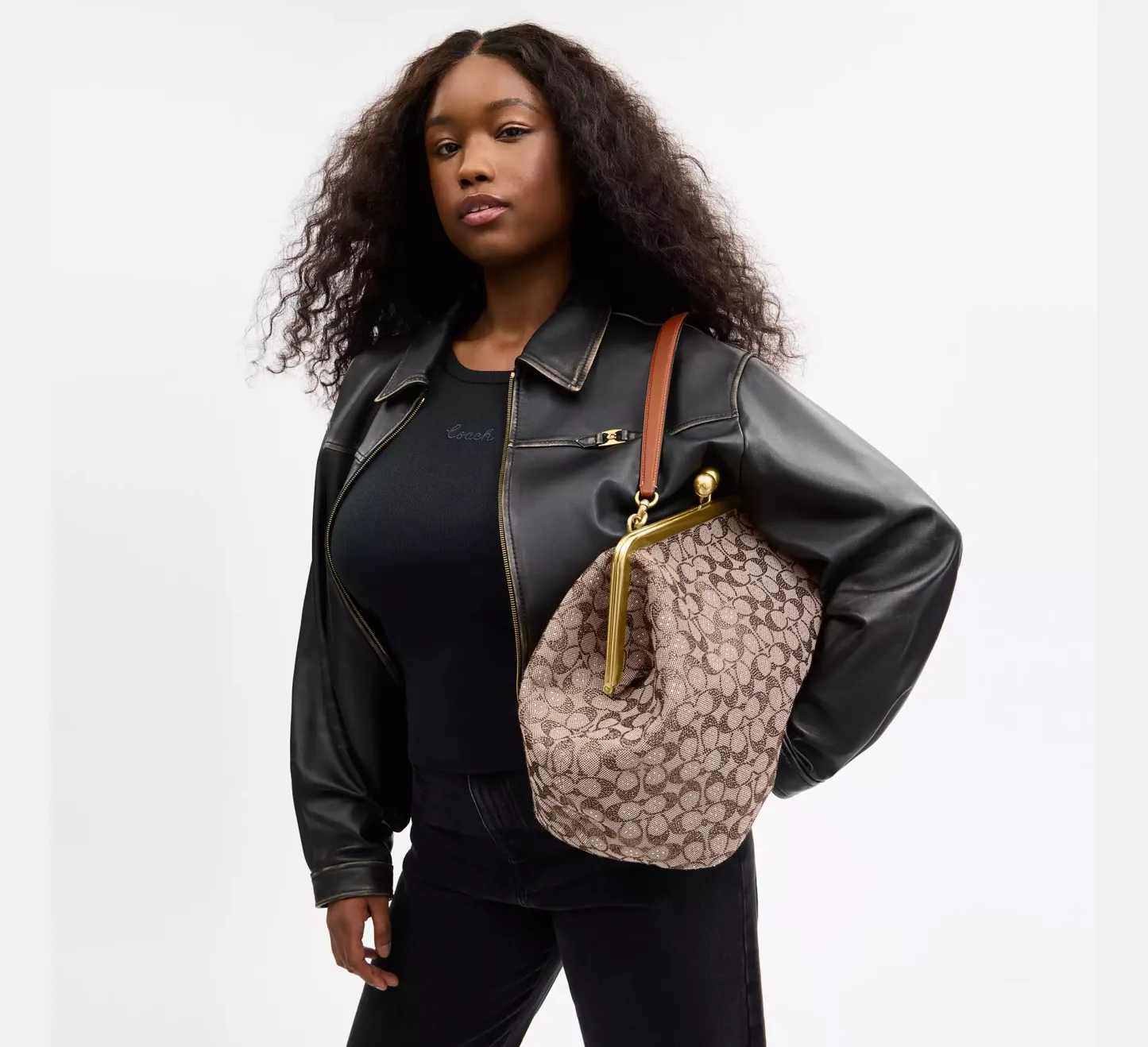 Large Kisslock Frame Bag In Crystal Signature Jacquard