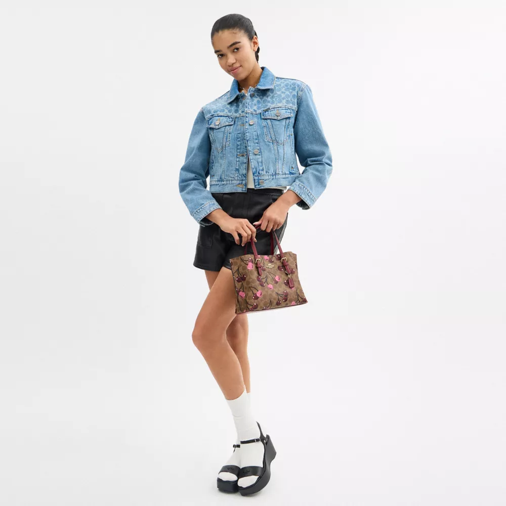 Mollie Tote Bag 25 In Signature Canvas With Cherry Print